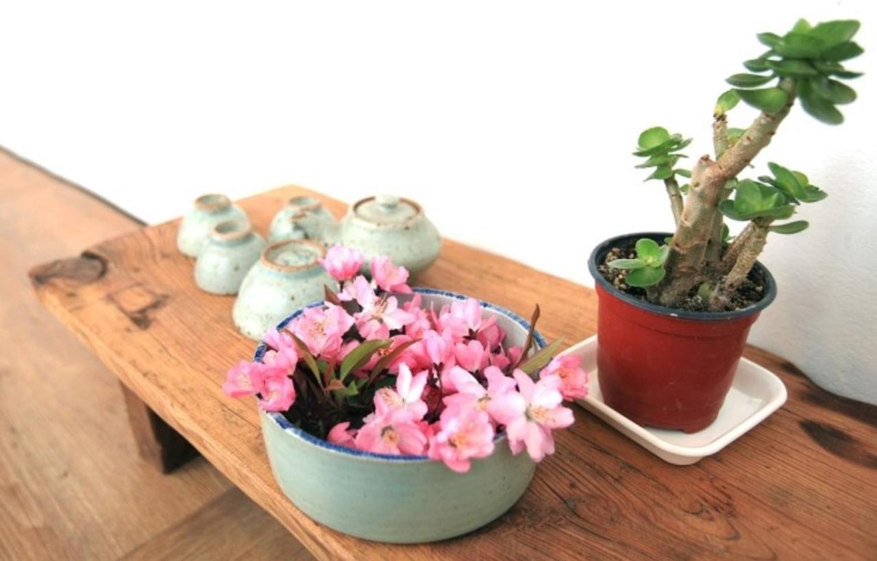 Mongyouhwawon Guesthouse Jeonju Dış mekan fotoğraf